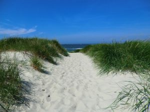 Beach in Peter island