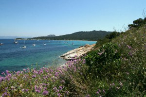 View on the beach of Porquerolles