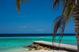 Beach in the BVI
