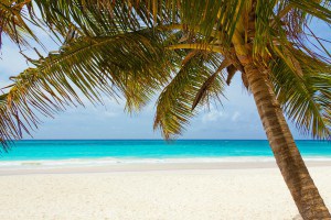Caribbean sea