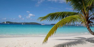 Beach in the BVI