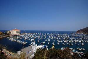 CATALINA ISLAND