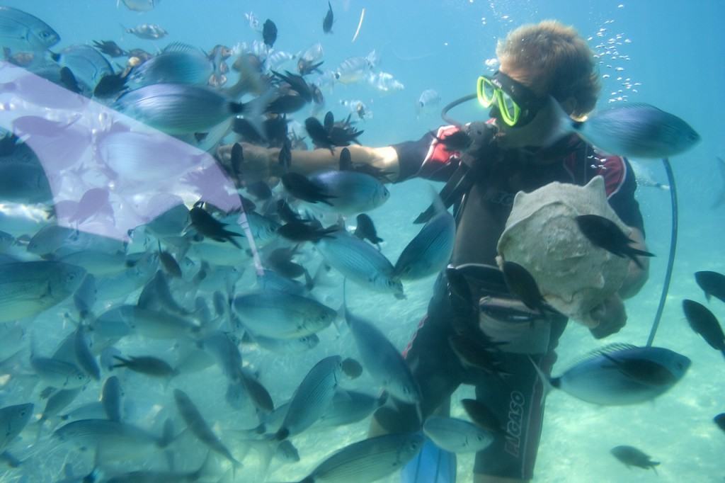 Snorkeling in the Bahamas