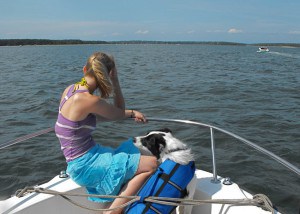 Life jacket for dog
