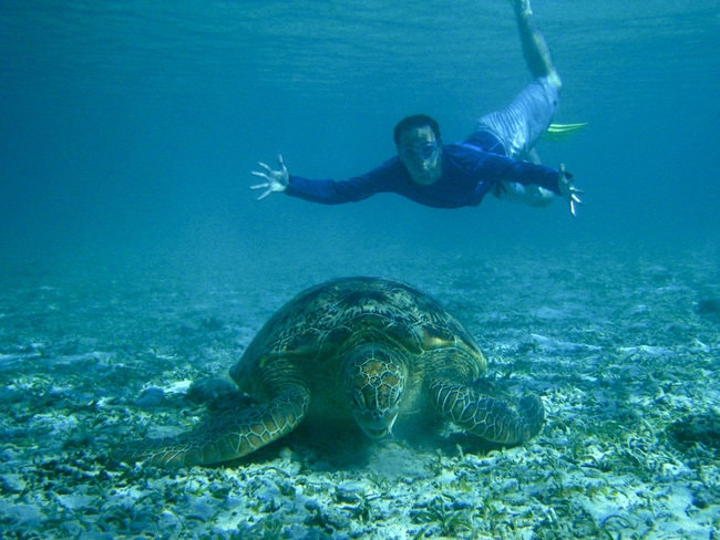 Diver in Surin island