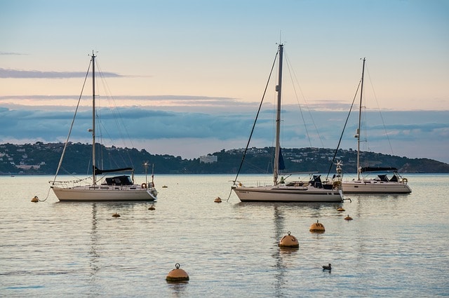 Boats on the water out of marina