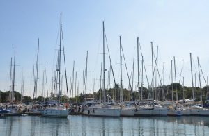 Boats in a marina