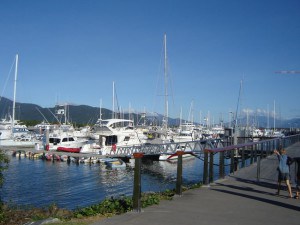 Palm Cove Marina in Floprida