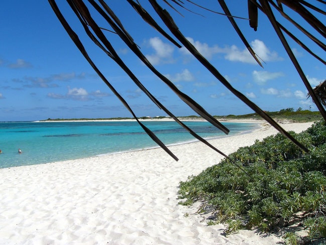 Beach in Anegada island