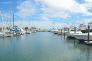 Grove Harbor Marina in Miami