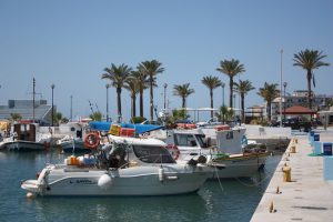 Boats in Kos Marinas
