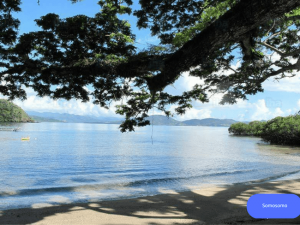 Beach in Somosomo islands