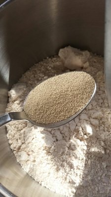 Yeast to bake bread