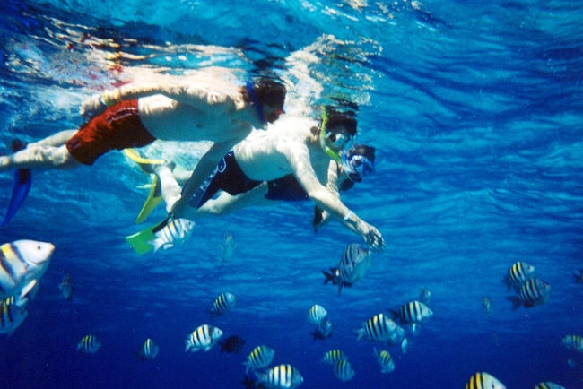 Snorkeling in the water