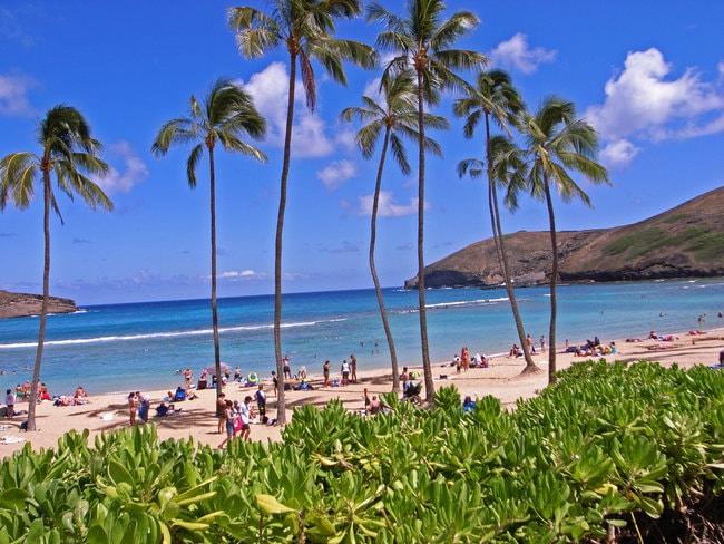 Hanauma Bay Preserved Park