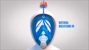 Seaview 180 Snorkel Mask
