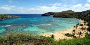 Snorkeling in Oahu