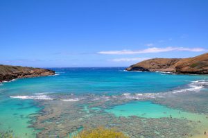 Hanauma Bay snorkeling spot
