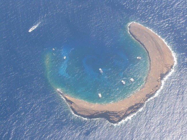 Molokini and Turtle Arches Snorkeling 