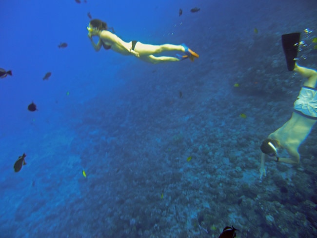 Snorkeling in the water of Molokini