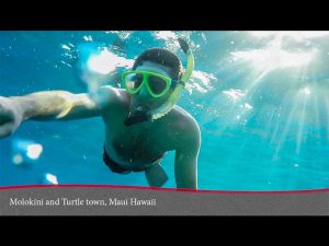 Molokini and Turtle Town Snorkel Adventure