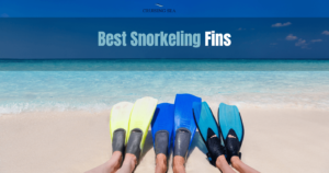 Best Snorkeling Fins 2022