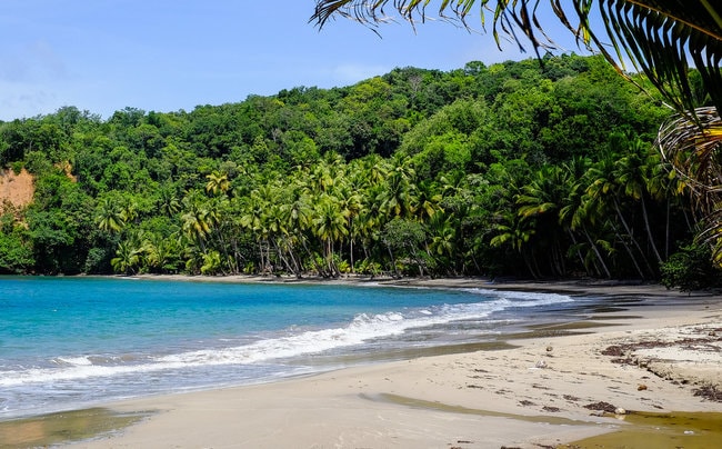 Dominica snorkeling spot in the Caribbean