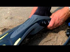 Best snorkel fins 2018