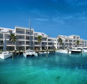 One-marina in Palm Cay