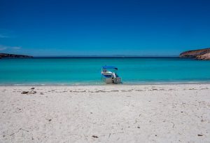 Isla Espiritu Santo snorkeling area in Mexico