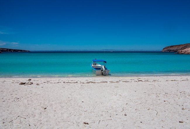 Isla Espiritu Santo snorkeling area in Mexico