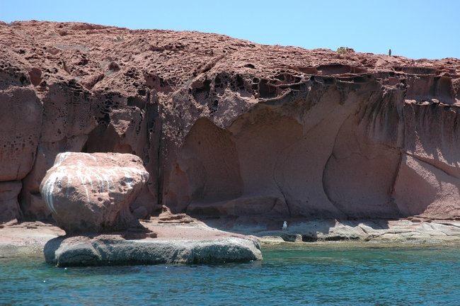 The Sea Of Cortez snorkeing spot in Mexico