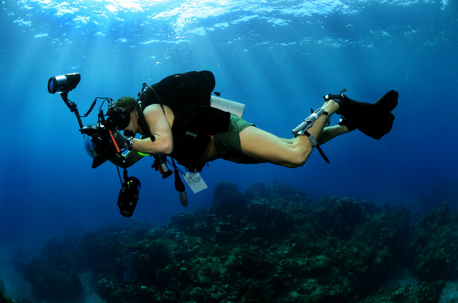 St Martin Diving activity