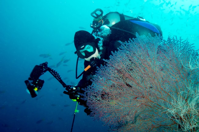 Raja Ampat diving charter vacation