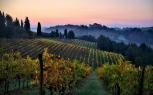 Tuscany Italy on a private yacht charter