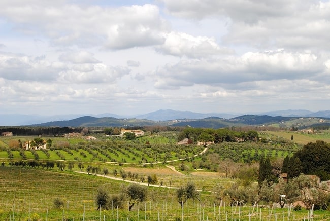 Pisa, Siena, and San Gimignano Day Trip from Florence, including Lunch