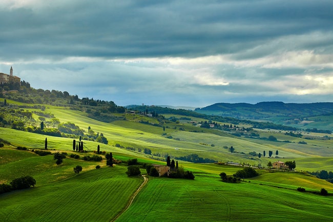 Taste of Chianti Tuscan Cheese, Wine and Lunch from Florence