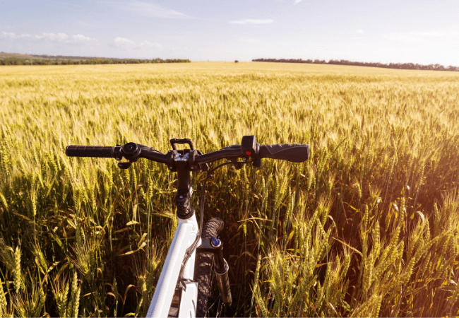 E-Bike Florence Tuscany Ride with Vineyard Visit