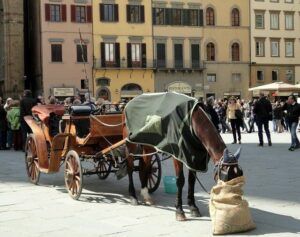Visiting Florence in the winter