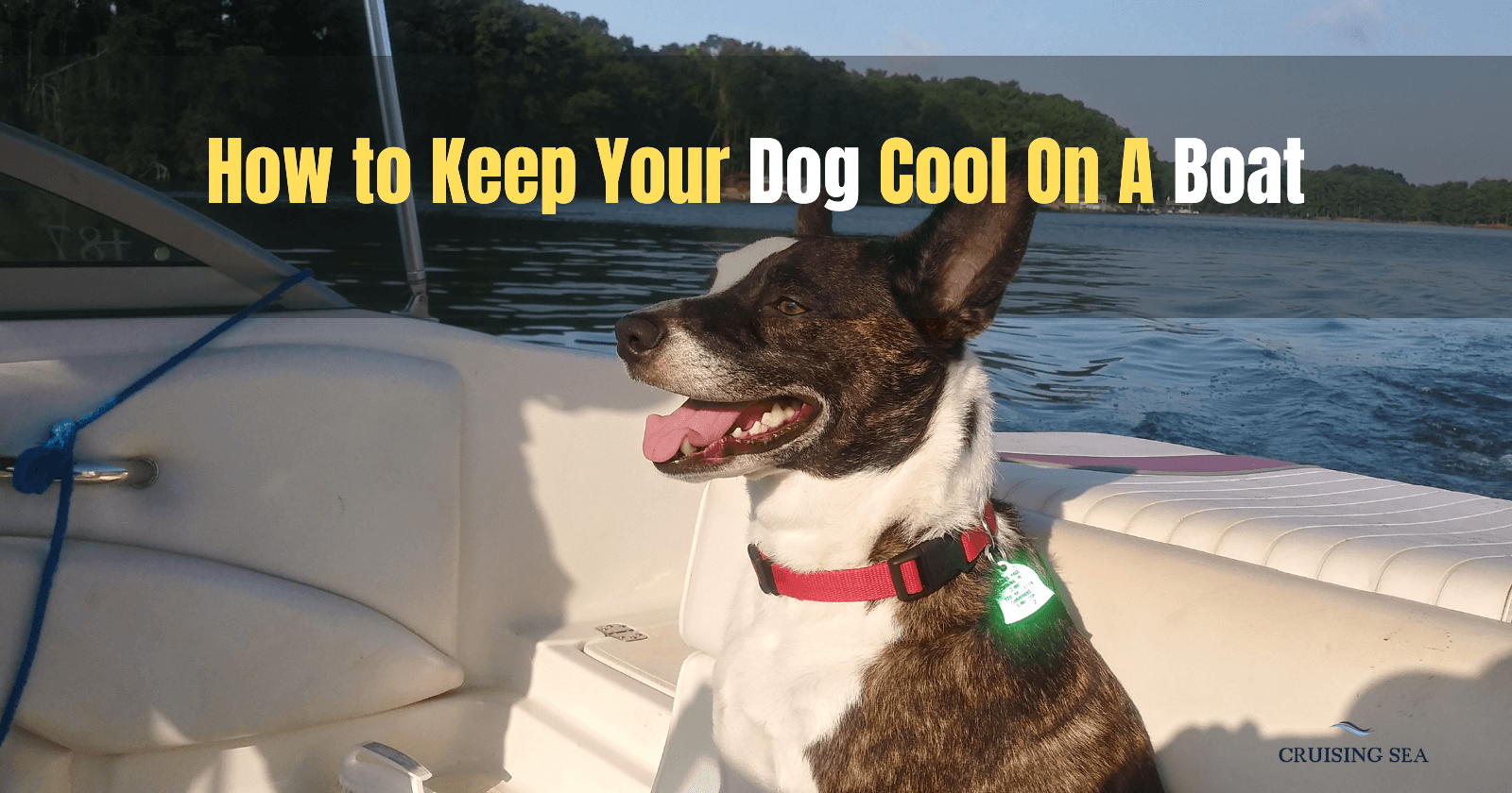 How to Keep Your Dog Cool On A Boat