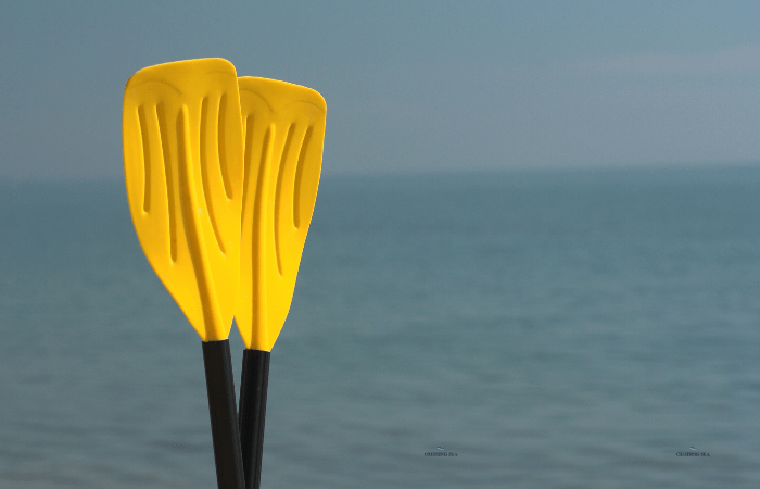 .paddles you need on a boat