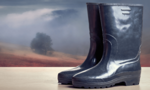 What are deck boots