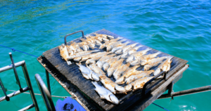 How to grill on a boat