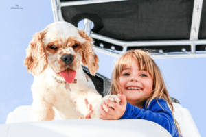 Use Bimini or tent for boating with your dog