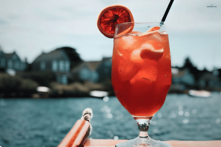Cape Codder Drink
