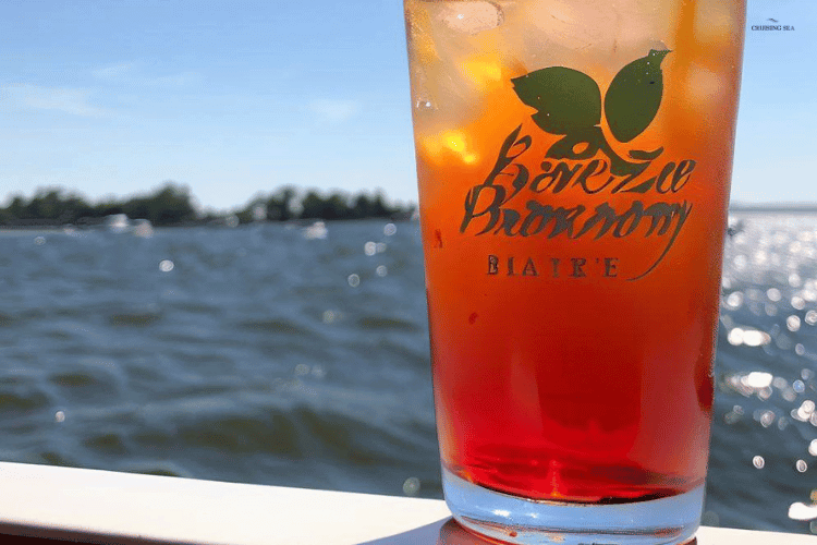 Classic Sea Breeze Drink