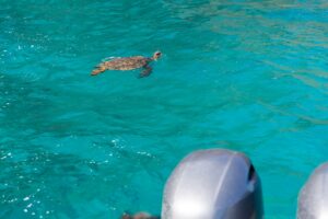 Napali Coast Boat Tours and Snorkeling