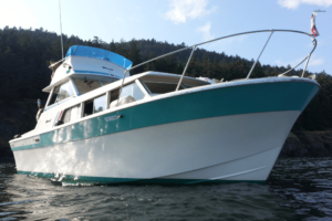 Boat-fuel-contamination