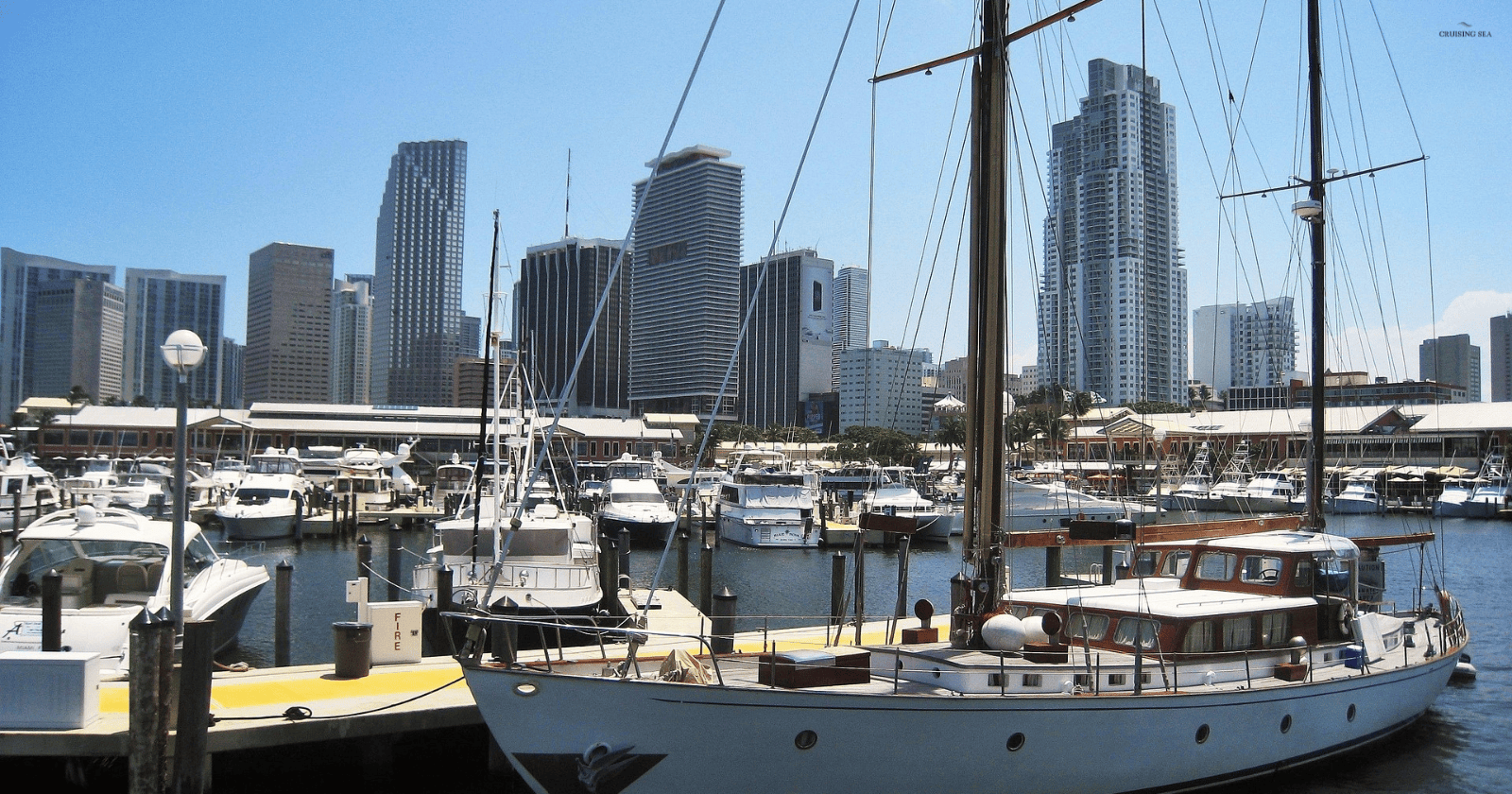Renting a Boat in Miami for a Day Trip