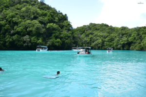 Motor Boat Day Trip from Palau